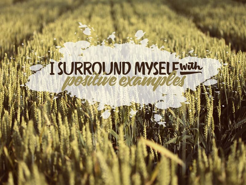 "I surround myself with positive examples" text in the midst of a relaxing wheat field.