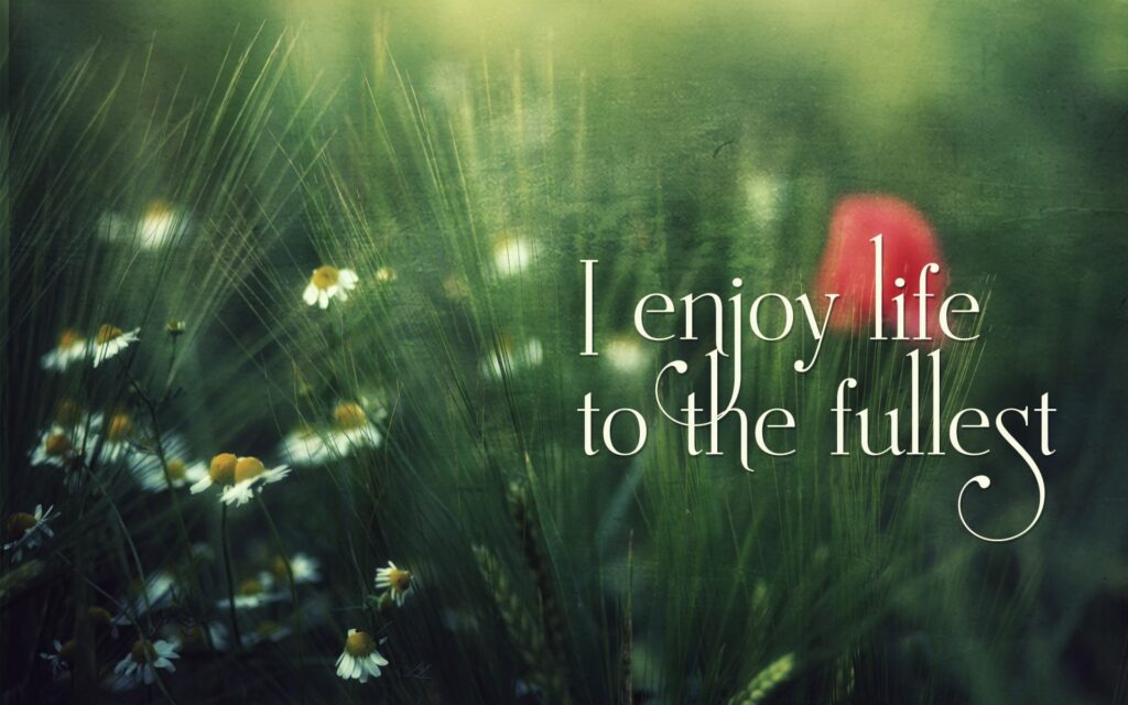 A backdrop of a dewy tulip with text that says "I enjoy life to the fullest."